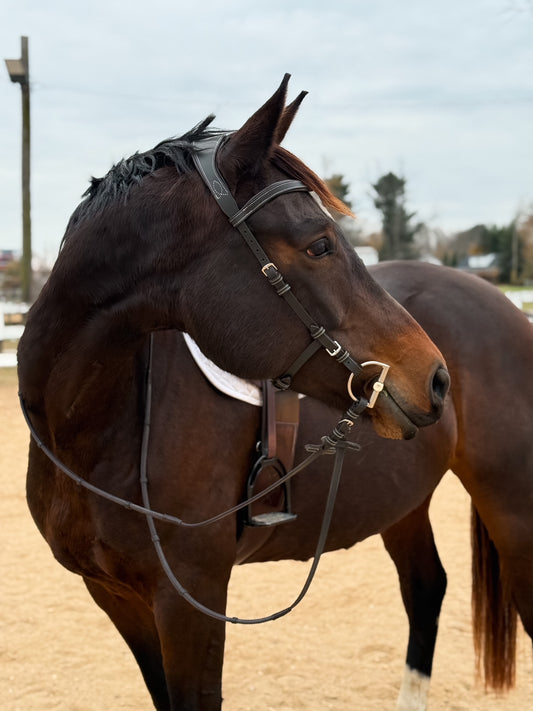 Freedom Bridle