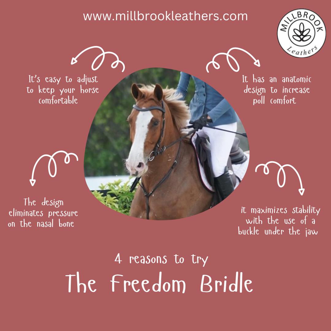Freedom Bridle