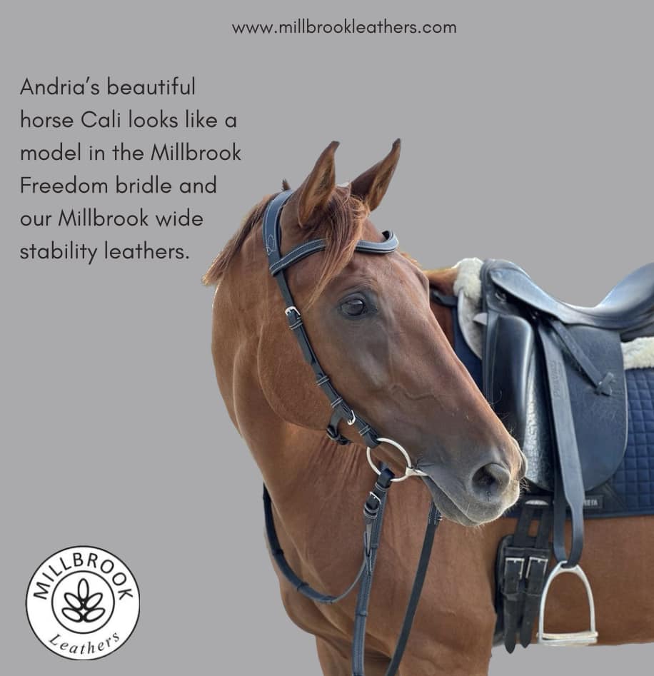Freedom Bridle