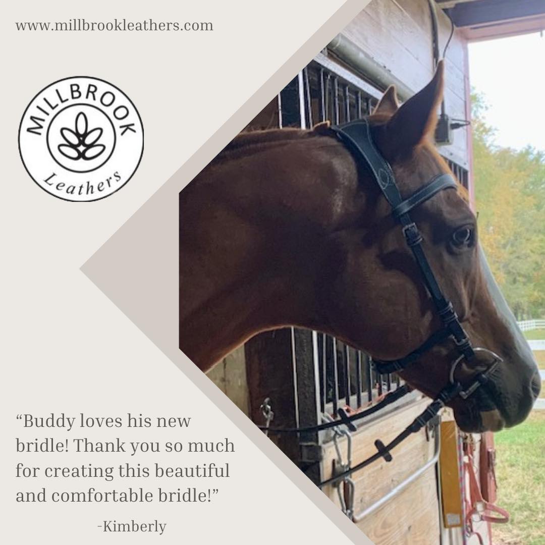 Freedom Bridle