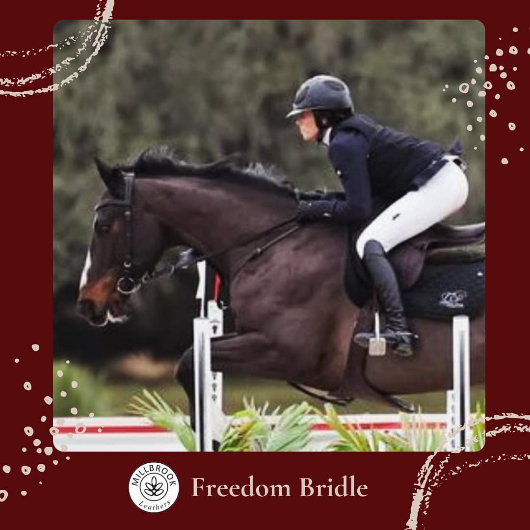 Freedom Bridle
