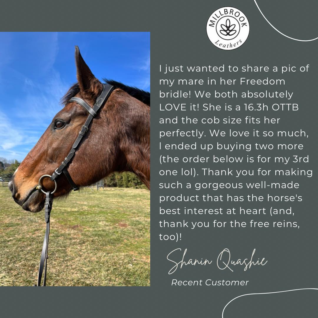 Freedom Bridle