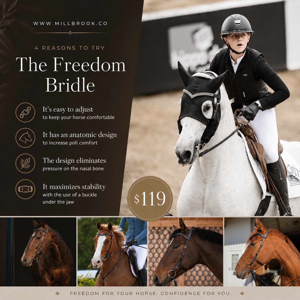 Freedom Bridle