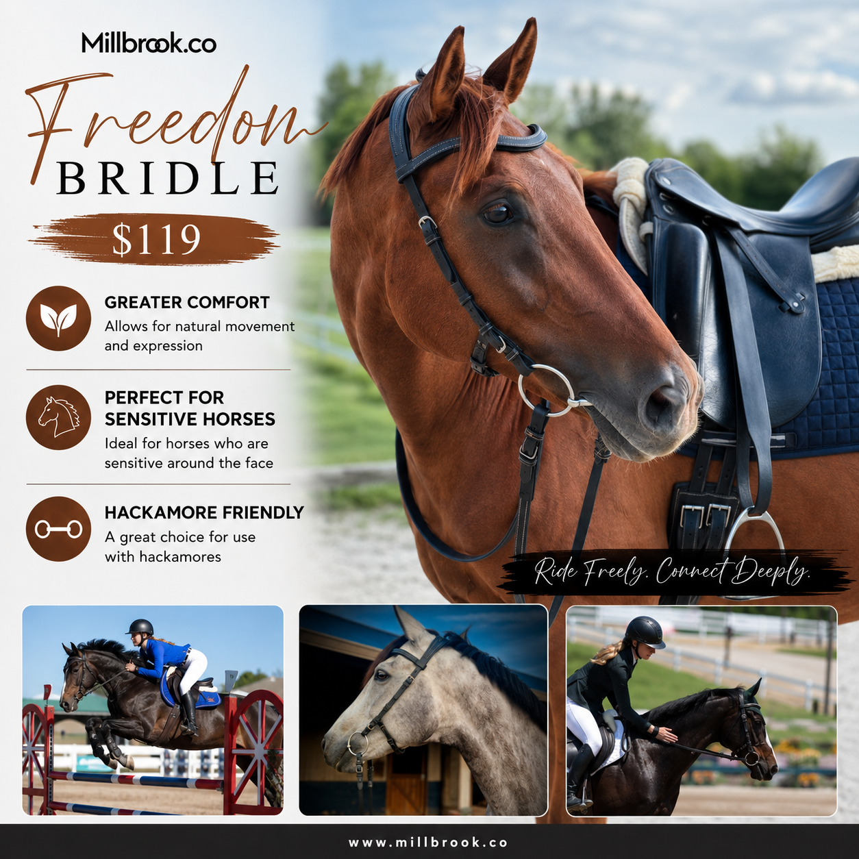 Freedom Bridle