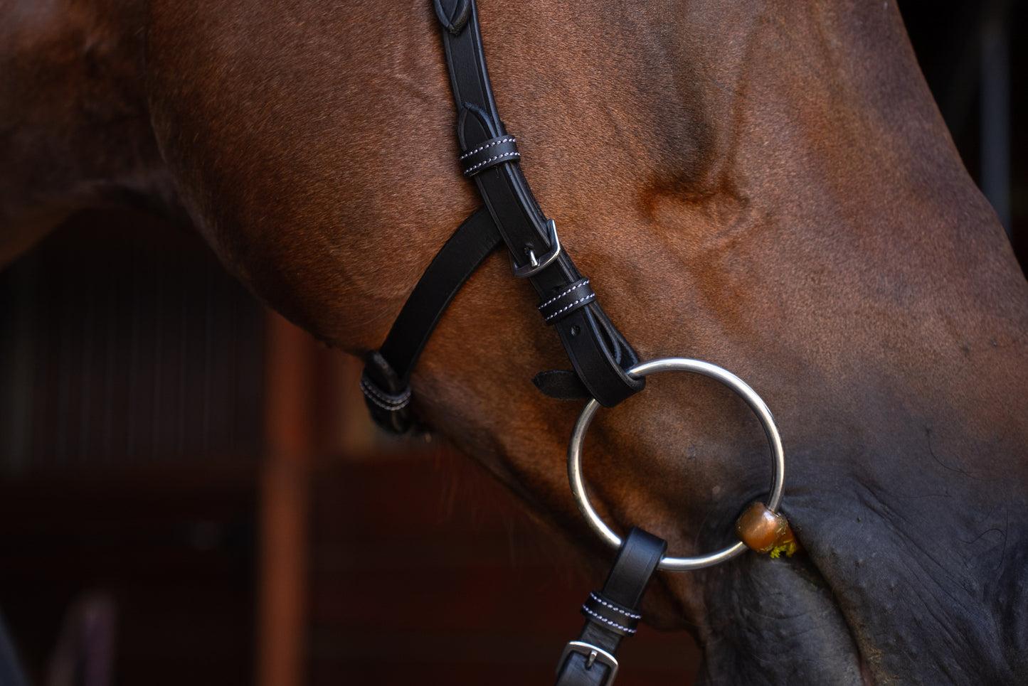 Freedom Bridle