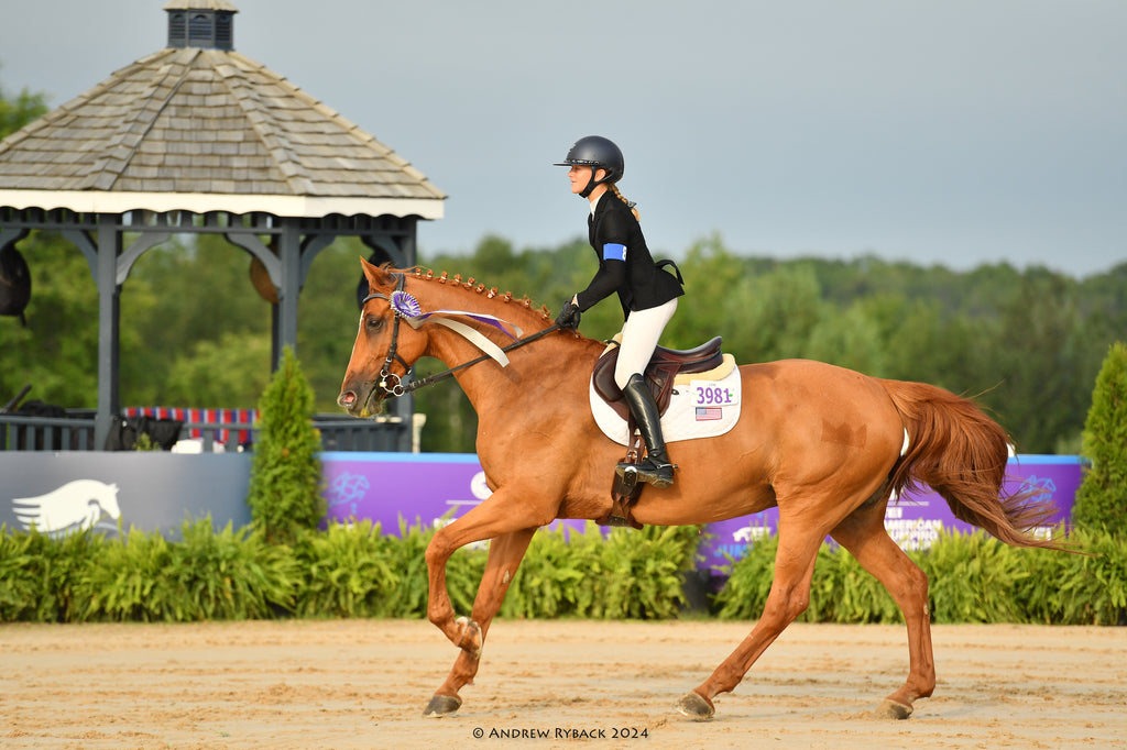 Freedom Bridle