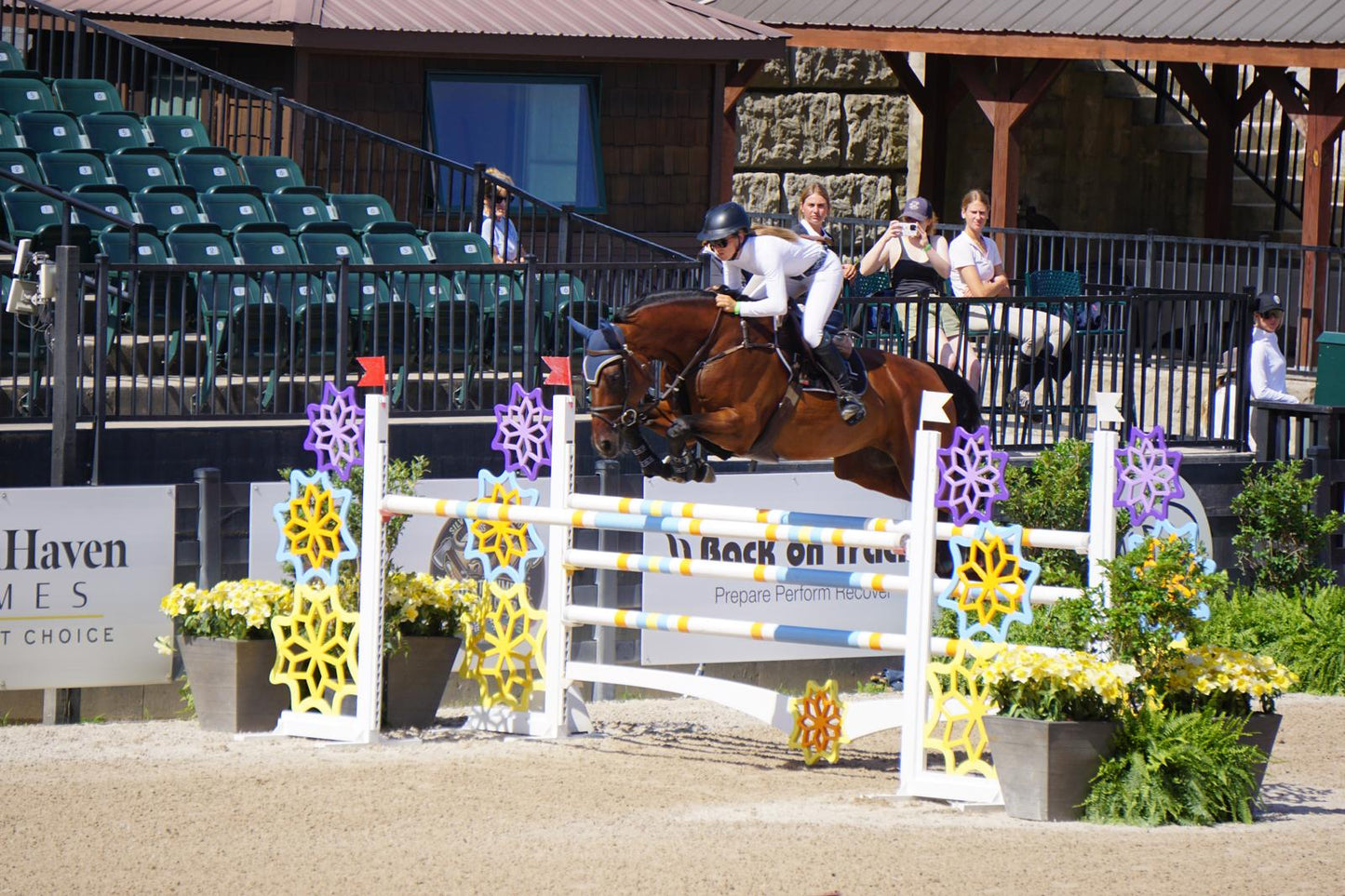 Fully Perforated Show Shirt