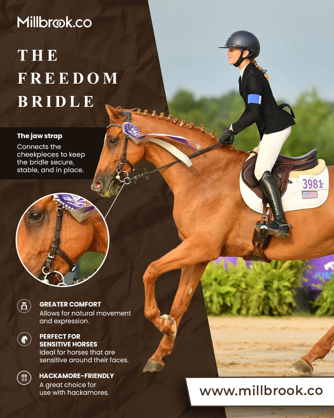 Freedom Bridle