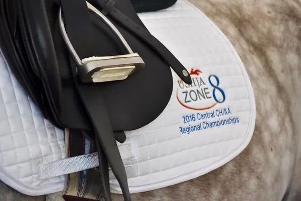 Original Millbrook Stirrup Leathers from France